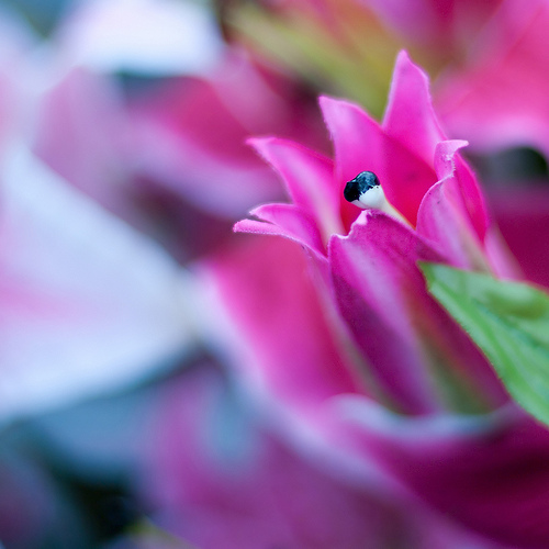 How to Prepare for Loss of a Loved One (Revisited)